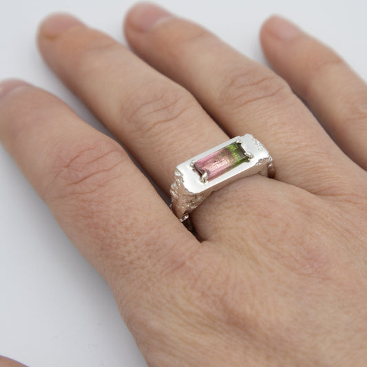 Vattenmelon - Emmeli Holm Metallformgivning